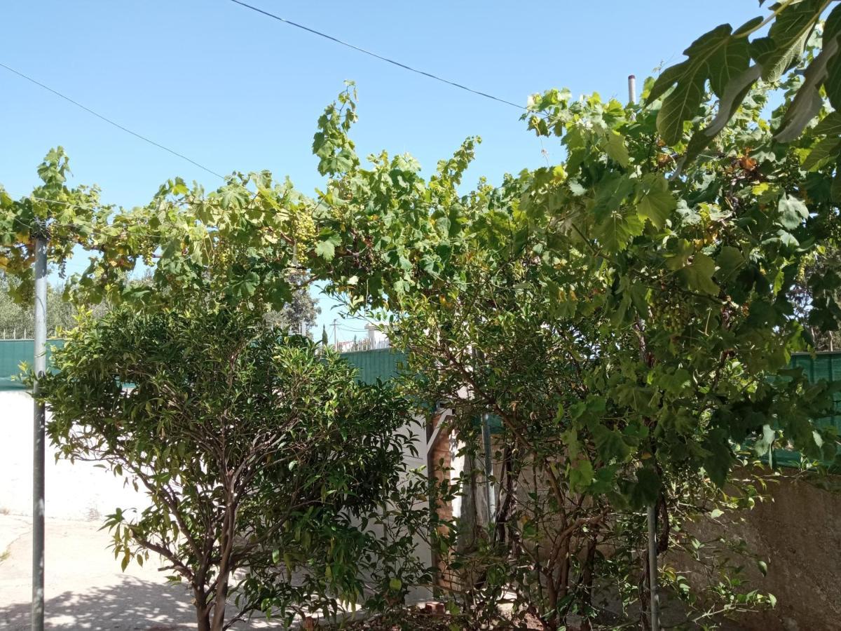 Sunset Viewhouse Διαμέρισμα Dhërmi Εξωτερικό φωτογραφία